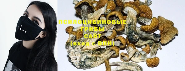 прущие грибы Покачи